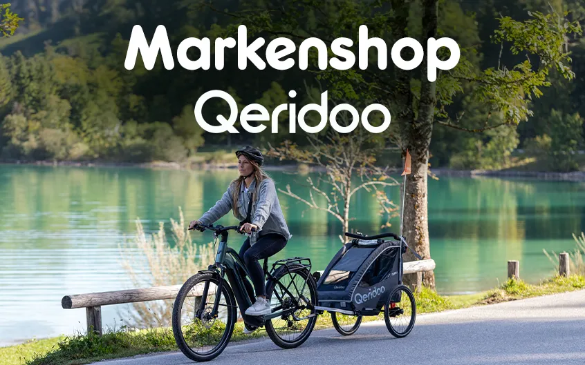 Frau mit E-Bike und Qeridoo Fahrradanhänger fährt am See entlang im Grünen