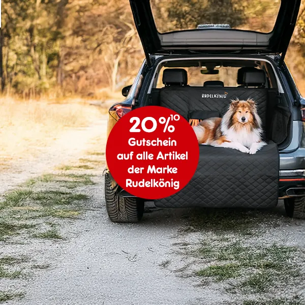 20% Gutschein auf alle Artikel der Marke Rudelk&ouml;nig bei Netto-Online, Abbildung mit Hochzahl 10, die auf rechtliche Hinweise verweist