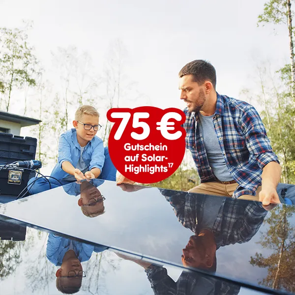 75 Euro Gutschein auf Solar-Highlights bei Netto Online mit der Hochzahl 17, die auf rechtliche Hinweise verweist.