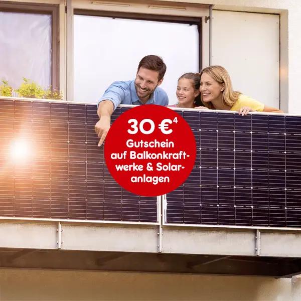 30 Euro Gutschein auf Balkonkraftwerke und Solaranlagen bei Netto Online mit Hochzahl 4 die auf rechtliche Hinweise verweist 