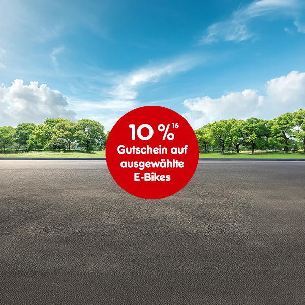 10 Prozent Gutschein auf ausgew&auml;hlte E-Bikes bei Netto Online mit Hochzahl 16 die auf rechtliche Hinweise verweist.