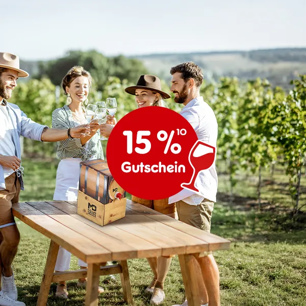 15% Gutschein auf Bag Box Weine der Marke Weinhaus M&uuml;ller bei Netto Online mit Hochzahl 10 die auf rechtliche Hinweise verweist.