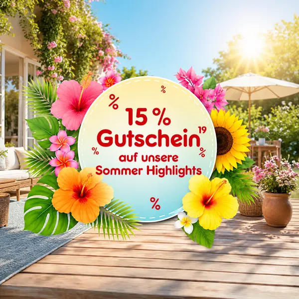 15% Rabatt auf Sommer-Highlights bei Netto Online mit Hochzahl 19, die auf rechtliche Hinweise verweist.