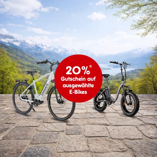 20 Prozent Gutschein auf ausgew&auml;hlte E-Bikes bei Netto-Online, mit Hochzahl 11 die auf rechtliche Hinweise verweist.