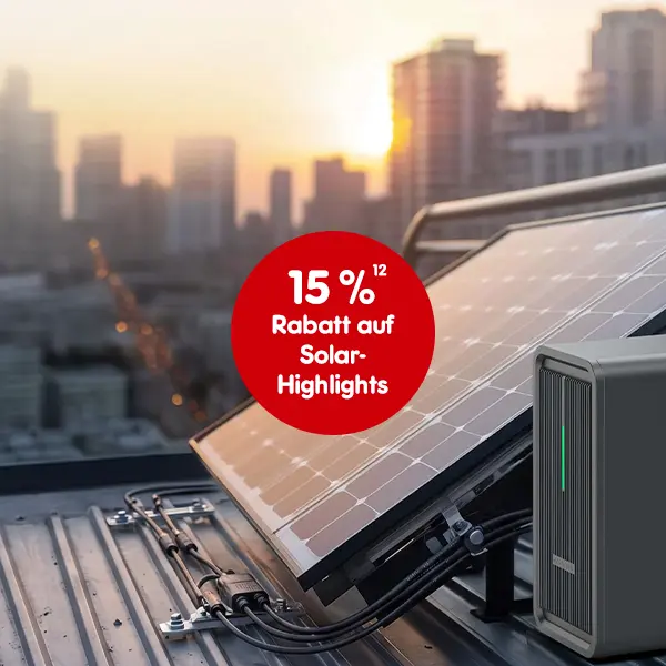 15 % Rabatt auf Solar-Highlights bei Netto Online mit Hochzahl 12 die auf rechtliche Hinweise verweist.