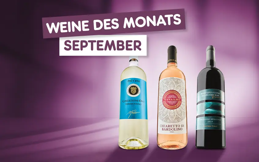 Weingenuss im September - der Netto Online-Shop empfiehlt