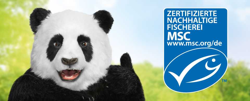 MSC - Zertifizierte nachhaltige Fischerei