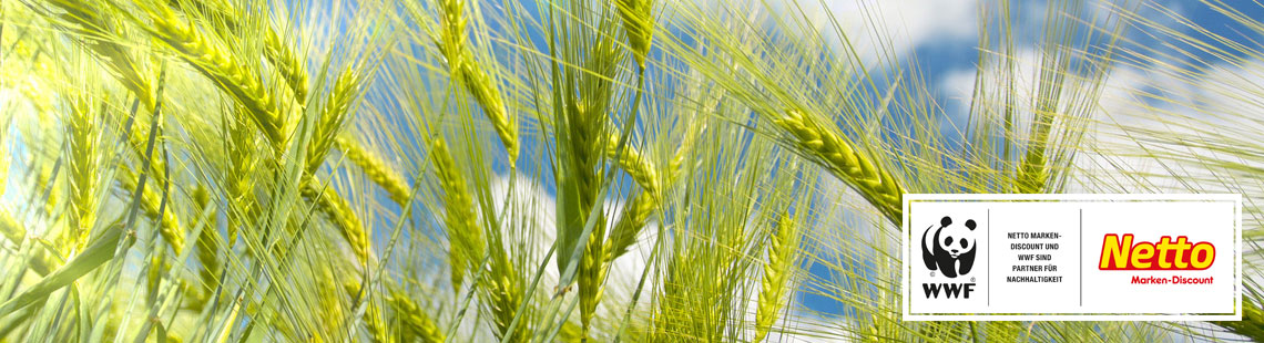 Partner für Nachhaltigkeit