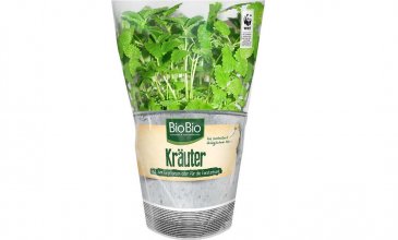 Kr&auml;uter