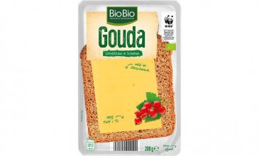 Gouda