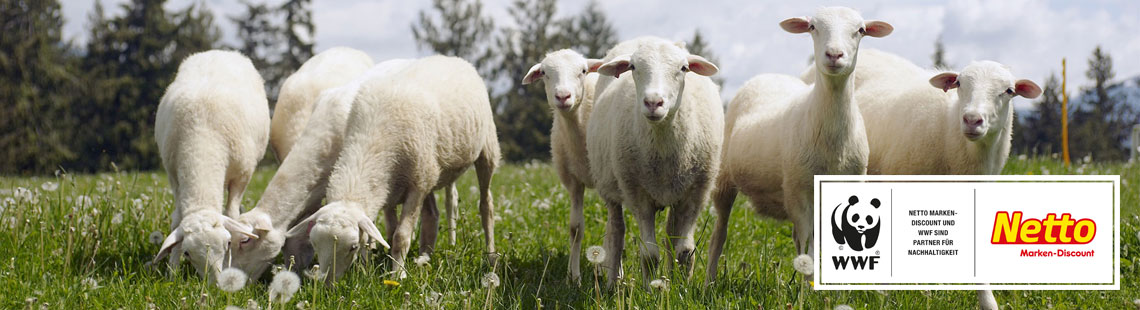 Nachhaltigere Produkte