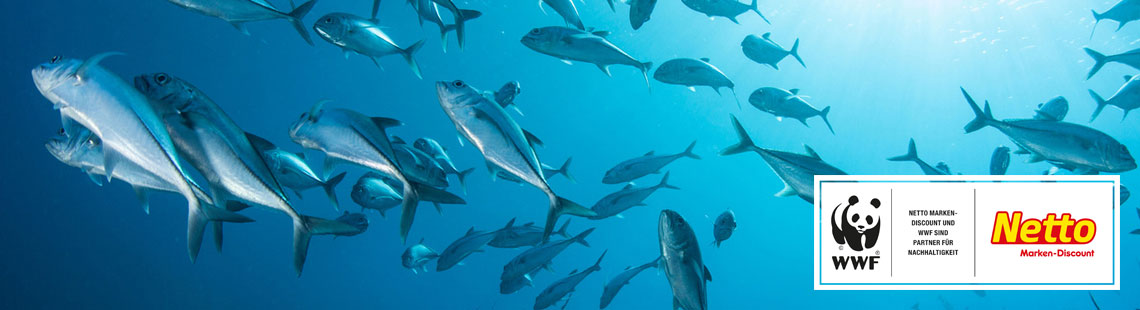 Partnerschaftlich f&uuml;r den Schutz der Meere