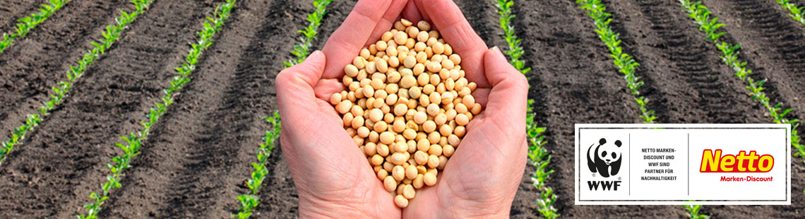 Soja ohne Gentechnik