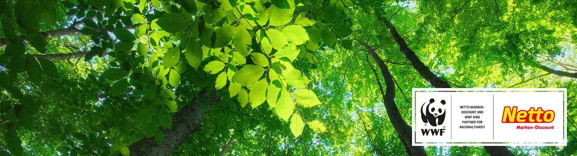 W&auml;lder sch&uuml;tzen