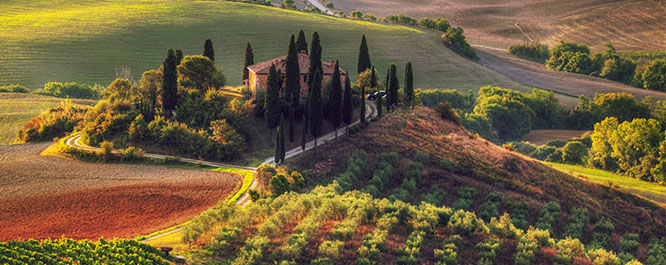 Typische italienische Landschaft mit Weinbergen und Zypressen in h&uuml;geliger Region
