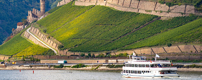 Rheinlandschaft mit steilen Weinbergen und Burg im Hintergrund, Fokus auf Riesling-Weinanbau
