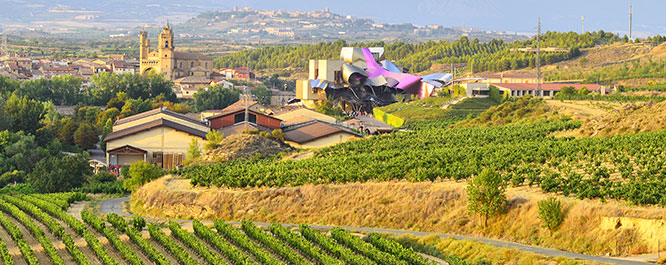 Spanische Weinlandschaft mit Weinbergen und historischen Geb&auml;uden im Hintergrund