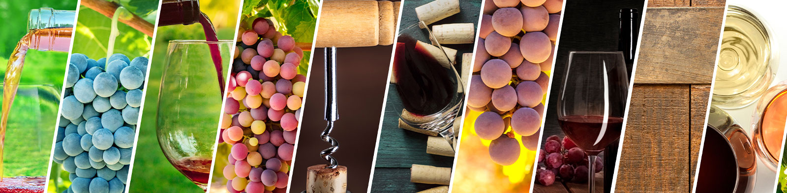 Weinwissen f&uuml;r jeden leicht erkl&auml;rt