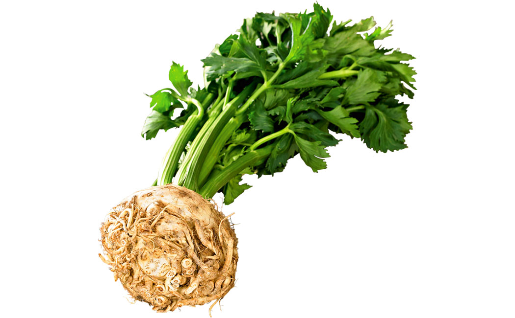 Artikelbild Sellerie lose >