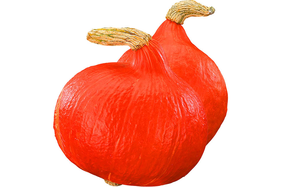 Artikelbild Hokkaido-Kürbis lose >