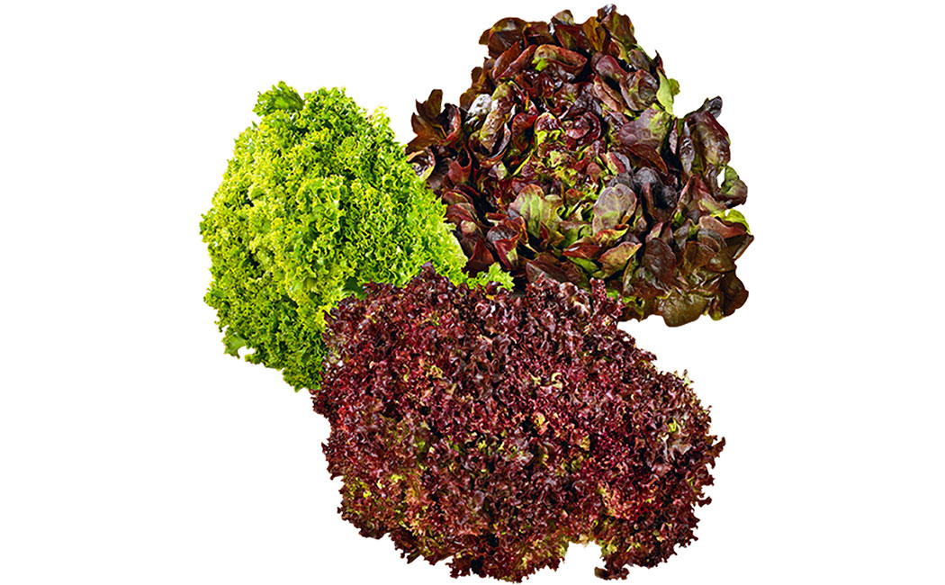 Artikelbild Gemischter Salat lose >