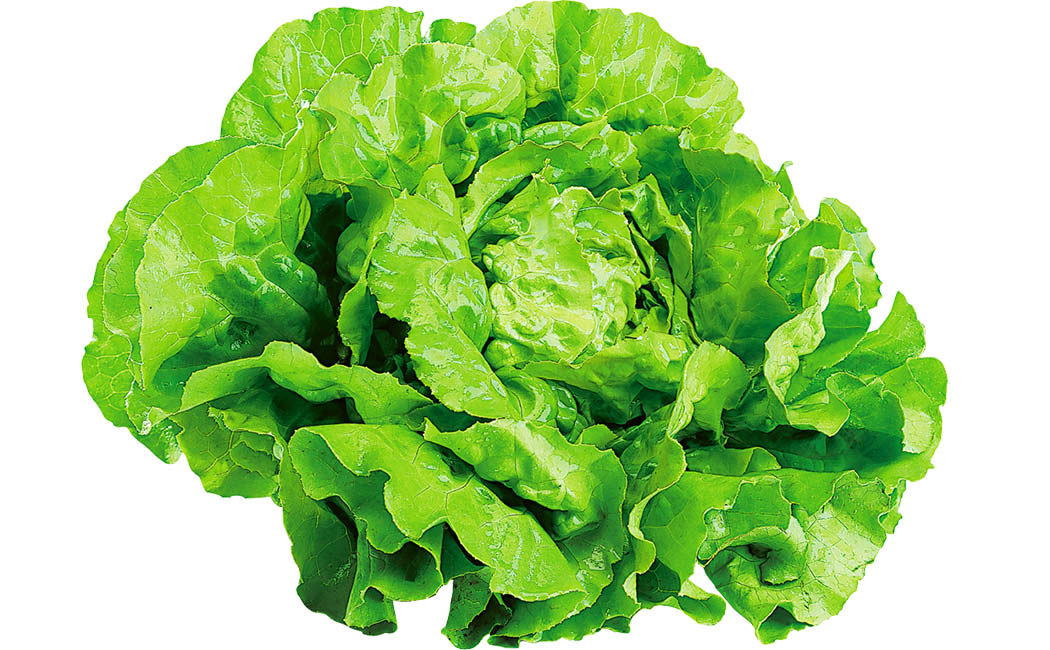 Artikelbild Kopfsalat lose >