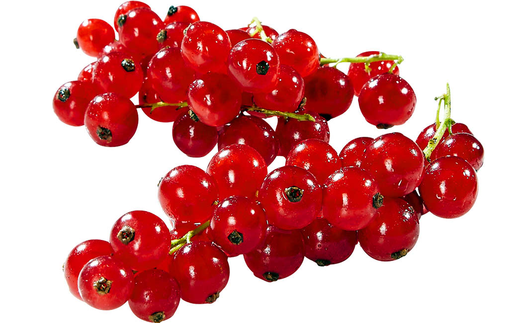 Artikelbild Johannisbeeren rot lose >
