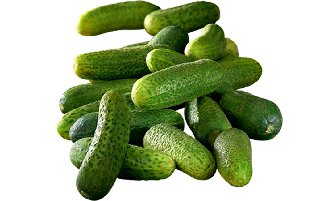 Artikelbild Einlegegurken lose >