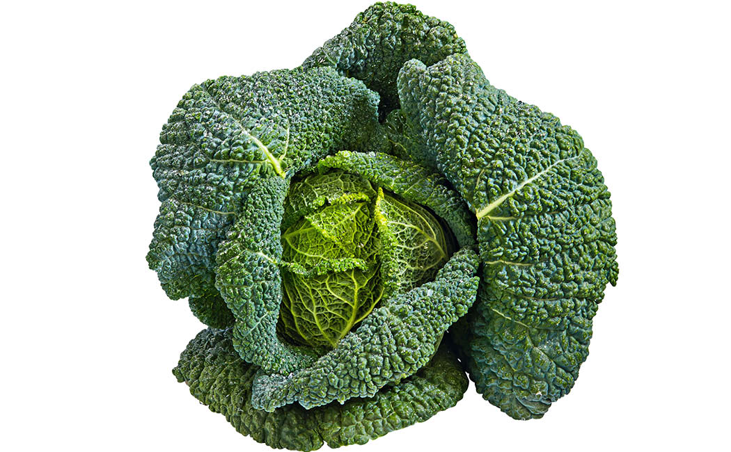 Artikelbild Wirsing lose >