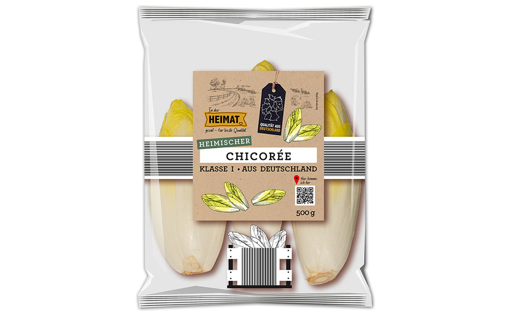 Artikelbild Chicoree >