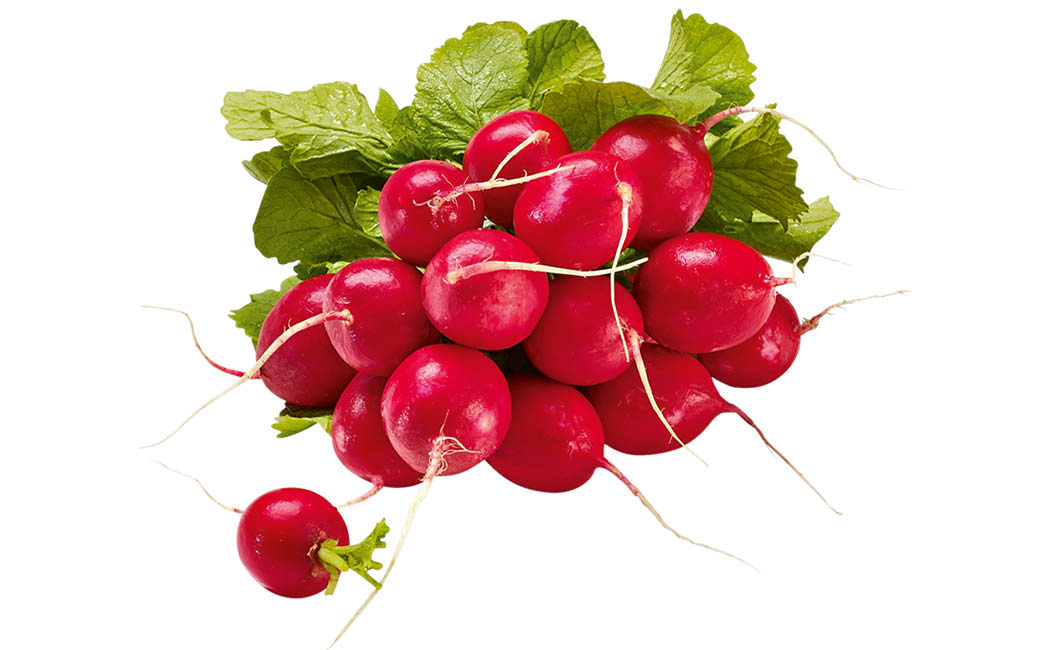 Artikelbild Radieschen lose >