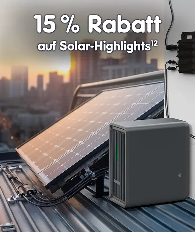 15 % Rabatt auf solar highlights bei Netto-Online mit hochzahl 12 verweisend auf rechtstexte.