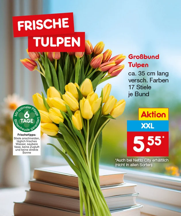 Grafik mit unscharfem, hellblauem Fenster-Hintergrund und Fr&uuml;hlingsstimmung: Auf einem Stapel aus zwei B&uuml;chern steht eine transparente Glasvase mit einem gro&szlig;en Strau&szlig; gelber Tulpen und gr&uuml;nen Bl&auml;ttern. Links oben zwei rote, &uuml;berlappende Balken mit wei&szlig;er Schrift: &bdquo;FRISCHE TULPEN&ldquo;. Links unten ein gr&uuml;nes rundes Siegel mit der Aufschrift: &bdquo;Mit optimaler Pflege Bl&uuml;tenfreude garantiert&ldquo; und in der Mitte: &bdquo;sechs TAGE&ldquo;. Darunter ein wei&szlig;es Textfeld &bdquo;Frischetipps:&ldquo; mit den Hinweisen: &bdquo;Stiele anschneiden, t&auml;glich frisches Wasser, saubere Vase, keine Zugluft und keine direkte Sonne&ldquo;. Rechts steht die Produktbeschreibung: &bdquo;Gro&szlig;bund Tulpen, ca. f&uuml;nfunddrei&szlig;ig cm lang, versch. Farben, siebzehn Stiele je Strau&szlig;&ldquo;. Darunter ein gelber Kasten mit roter Schrift &bdquo;Aktion&ldquo;, darunter ein blauer Kasten mit den Buchstaben XXL und darunter ein gro&szlig;er roter Preiskasten mit wei&szlig;er Preisangabe &bdquo;f&uuml;nf Euro f&uuml;nfundf&uuml;nfzig&ldquo; mit Sternchen. Sternchentext lautet: Erh&auml;ltlich bei Netto City (nicht in allen Sorten). Die abgebildeten Artikel k&ouml;nnen wegen des begrenzten Angebots schon am ersten Tag ausverkauft sein. Der Button ganz unten "Weitere Angebote entdecken" l&auml;dt zum Klicken ein.