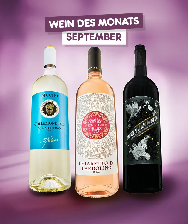 Diese Grafik zeigt auf violettem, weich verlaufendem Hintergrund oben den Schriftzug &bdquo;Wein des Monats September&ldquo;. Darunter stehen drei Weinflaschen nebeneinander: links eine Wei&szlig;weinflasche &bdquo;Piccini Collezione Oro Vermentino&ldquo;, in der Mitte eine Ros&eacute;weinflasche &bdquo;Chiaretto di Bardolino&ldquo; und rechts eine Rotweinflasche &bdquo;Montepulciano d&rsquo;Abruzzo&ldquo;. Ganz unten befindet sich ein wei&szlig;er Button mit rotem Rand und der Aufschrift &bdquo;Jetzt Angebote entdecken&ldquo;, der zum Klicken einl&auml;dt.