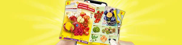 Diese Grafik zeigt auf einem strahlend gelben Hintergrund mit Lichtstrahlen ein Smartphone in zwei H&auml;nden, auf dessen Display ein ge&ouml;ffnetes Netto-Wochenprospekt mit verschiedenen Obst- und Gem&uuml;seartikeln wie Mango, &Auml;pfeln, Himbeeren, Tomaten, Pflaumen, Kiwi, Salat und Zwiebeln liegt; auf der linken Prospektseite steht &bdquo;Den ganzen September sparen!&ldquo;. Ganz unten befindet sich ein wei&szlig;er Button mit roter Umrandung und der Aufschrift &bdquo;Zum digitalen Wochenprospekt&ldquo;, der zum Klicken einl&auml;dt.
