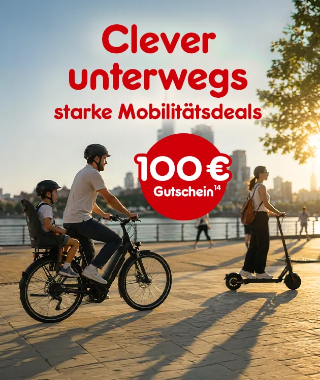 100&euro; Gutschein auf die Kategorie Mobilit&auml;t bei Netto Online mit Hochzahl 14 verweisend auf Rechtstext