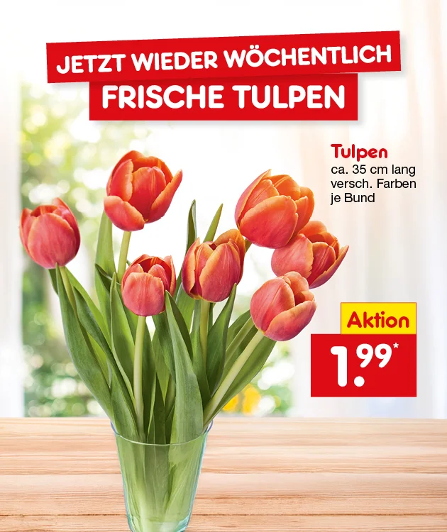 Das Bild zeigt rote und gelbe Tulpen in einer Vase vor einem Fensterhintergrund. Oben links steht &bdquo;Jetzt wieder w&ouml;chentlich frische Tulpen&ldquo;. Rechts daneben der Text &bdquo;Tulpen, circa f&uuml;nfunddrei&szlig;ig Zentimeter lang, verschiedene Farben, je Bund&ldquo;. Rechts unten ein rotes Aktionsfeld mit &bdquo;Aktion ein Euro neunundneunzig&ldquo;. Unten befindet sich ein Button &bdquo;Weitere Angebote entdecken&ldquo;.