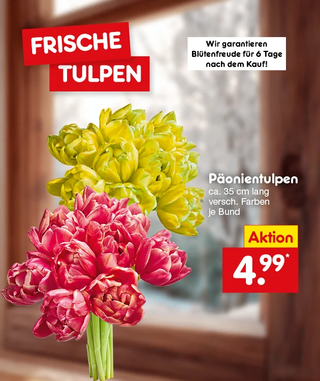 Grafik mit bunten P&auml;onientulpen (rot und gelb) vor unscharfem Fensterhintergrund. Text: &bdquo;Frische Tulpen&ldquo;. Hinweis: &bdquo;Wir garantieren Bl&uuml;tenfreude f&uuml;r sechs Tage nach dem Kauf!&ldquo;. Produkttext: &bdquo;P&auml;onientulpen, circa f&uuml;nfunddrei&szlig;ig Zentimeter lang, verschiedene Farben, je Bund&ldquo;. Preisfeld: &bdquo;Aktion: vier Euro neunundneunzig&ldquo;. Unten ein Button &bdquo;Weitere Angebote entdecken&ldquo;, der zum Klicken einl&auml;dt.