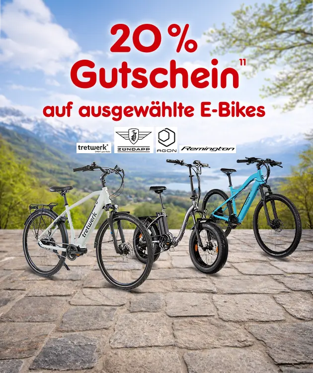 20% Gutschein auf ausgew&auml;hlte E-Bikes im Netto Onlineshop mit der Hochzahl 11 der auf den Rechtstext verweist