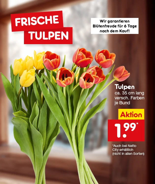 Auf dem Banner sieht man zwei Str&auml;u&szlig;e frischer Tulpen mit der Headline &bdquo;Frische Tulpen&ldquo; und dem Aktionspreis von 1,99 &euro; sowie dem Button &bdquo;Weitere Angebote entdecken&ldquo;.