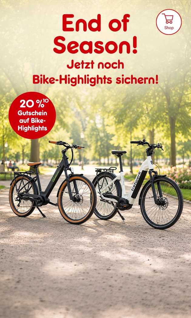 20% auf Bikes bei Netto Online mit Hochzahl verweisend auf Rechtstext