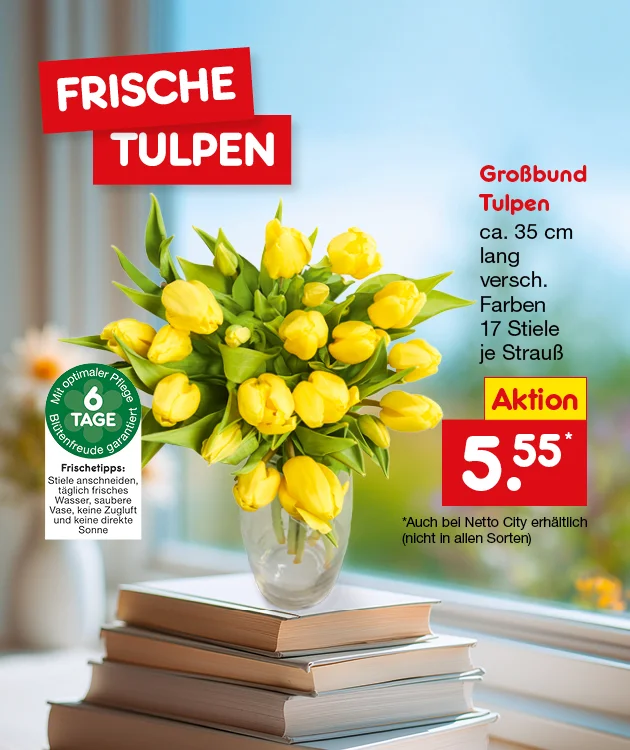 Grafik mit unscharfem, hellblauem Fenster-Hintergrund und Fr&uuml;hlingsstimmung: Auf einem Stapel aus zwei B&uuml;chern steht eine transparente Glasvase mit einem gro&szlig;en Strau&szlig; gelber Tulpen und gr&uuml;nen Bl&auml;ttern. Links oben zwei rote, &uuml;berlappende Balken mit wei&szlig;er Schrift: &bdquo;FRISCHE TULPEN&ldquo;. Links unten ein gr&uuml;nes rundes Siegel mit der Aufschrift: &bdquo;Mit optimaler Pflege Bl&uuml;tenfreude garantiert&ldquo; und in der Mitte: &bdquo;sechs TAGE&ldquo;. Darunter ein wei&szlig;es Textfeld &bdquo;Frischetipps:&ldquo; mit den Hinweisen: &bdquo;Stiele anschneiden, t&auml;glich frisches Wasser, saubere Vase, keine Zugluft und keine direkte Sonne&ldquo;. Rechts steht die Produktbeschreibung: &bdquo;Gro&szlig;bund Tulpen, ca. f&uuml;nfunddrei&szlig;ig cm lang, versch. Farben, siebzehn Stiele je Strau&szlig;&ldquo;. Darunter ein gelber Kasten mit roter Schrift &bdquo;Aktion&ldquo; und daneben ein gro&szlig;er roter Preiskasten mit wei&szlig;er Preisangabe &bdquo;f&uuml;nf Euro f&uuml;nfundf&uuml;nfzig&ldquo; mit Sternchen. Sternchentext lautet: Erh&auml;ltlich bei Netto City (nicht in allen Sorten). Die abgebildeten Artikel k&ouml;nnen wegen des begrenzten Angebots schon am ersten Tag ausverkauft sein. Der Button ganz unten "Weitere Angebote entdecken" l&auml;dt zum Klicken ein.