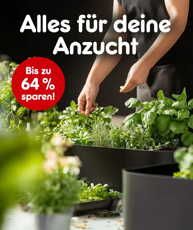 Alles f&uuml;r deine Anzucht. Bis zu 64 Prozent sparen bei Netto Online