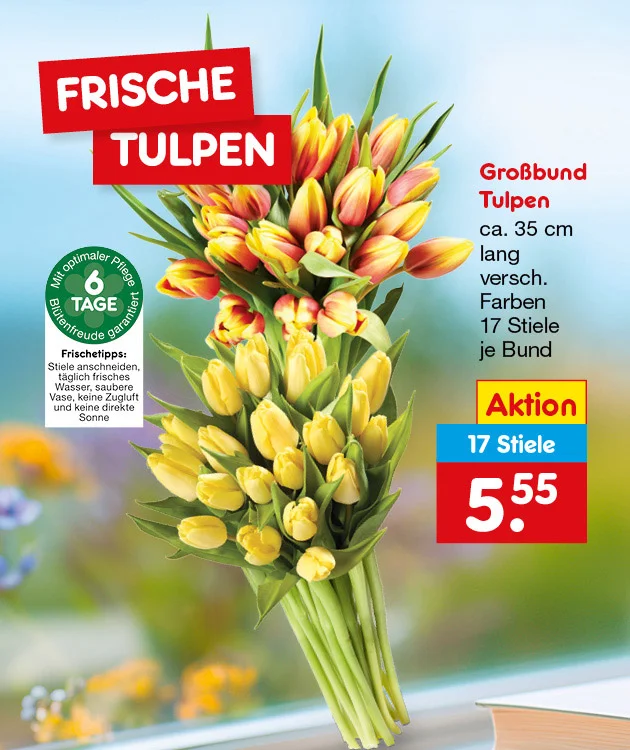 Grafik mit Blumenstrau&szlig; und der &Uuml;berschrift &bdquo;Frische Tulpen&ldquo;. Abgebildet ist ein Gro&szlig;bund Tulpen in verschiedenen Farben, darunter gelbe sowie rot-gelbe Tulpen. Rechts steht: &bdquo;Gro&szlig;bund Tulpen, circa f&uuml;nfunddrei&szlig;ig Zentimeter lang, verschiedene Farben, siebzehn Stiele je Bund&ldquo;. Preiskasten: &bdquo;Aktion, siebzehn Stiele, f&uuml;nf Euro f&uuml;nfundf&uuml;nfzig&ldquo;. Links ein gr&uuml;nes Siegel: &bdquo;Mit optimaler Pflege sechs Tage Bl&uuml;tenfreude garantiert&ldquo;. Darunter &bdquo;Frischetipps&ldquo;: &bdquo;Stiele anschneiden, t&auml;glich frisches Wasser, saubere Vase, keine Zugluft und keine direkte Sonne&ldquo;. Unten mittig ein wei&szlig;er Button mit rotem Rand und roter Schrift: &bdquo;Weitere Angebote entdecken&ldquo;, der zum Klicken einl&auml;dt.