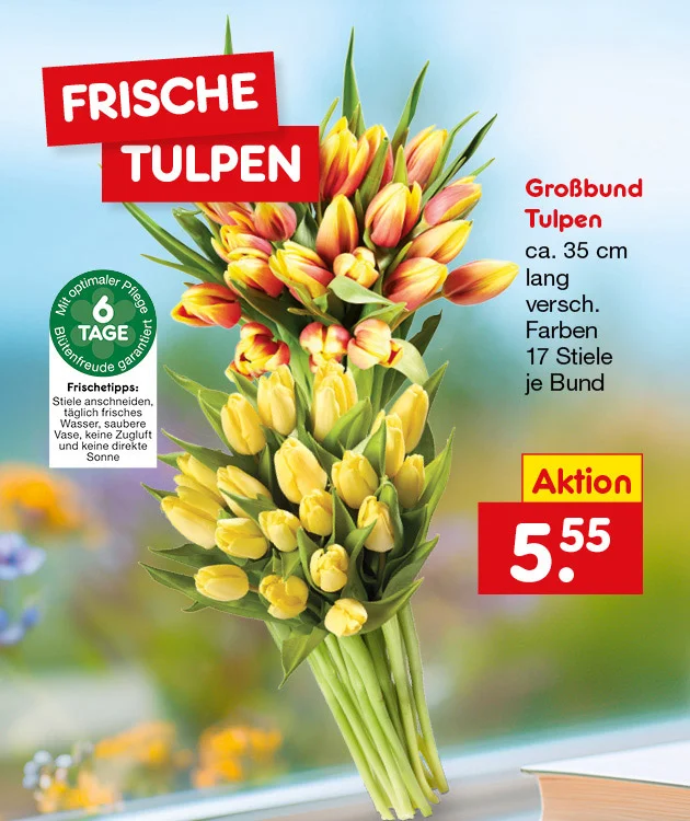 Grafik mit Blumenstrau&szlig; und der &Uuml;berschrift &bdquo;Frische Tulpen&ldquo;. Abgebildet ist ein Gro&szlig;bund Tulpen in verschiedenen Farben, darunter gelbe sowie rot-gelbe Tulpen. Rechts steht: &bdquo;Gro&szlig;bund Tulpen, circa f&uuml;nfunddrei&szlig;ig Zentimeter lang, verschiedene Farben, siebzehn Stiele je Bund&ldquo;. Preiskasten: &bdquo;Aktion, siebzehn Stiele, f&uuml;nf Euro f&uuml;nfundf&uuml;nfzig&ldquo;. Links ein gr&uuml;nes Siegel: &bdquo;Mit optimaler Pflege sechs Tage Bl&uuml;tenfreude garantiert&ldquo;. Darunter &bdquo;Frischetipps&ldquo;: &bdquo;Stiele anschneiden, t&auml;glich frisches Wasser, saubere Vase, keine Zugluft und keine direkte Sonne&ldquo;. Unten mittig ein wei&szlig;er Button mit rotem Rand und roter Schrift: &bdquo;Weitere Angebote entdecken&ldquo;, der zum Klicken einl&auml;dt.