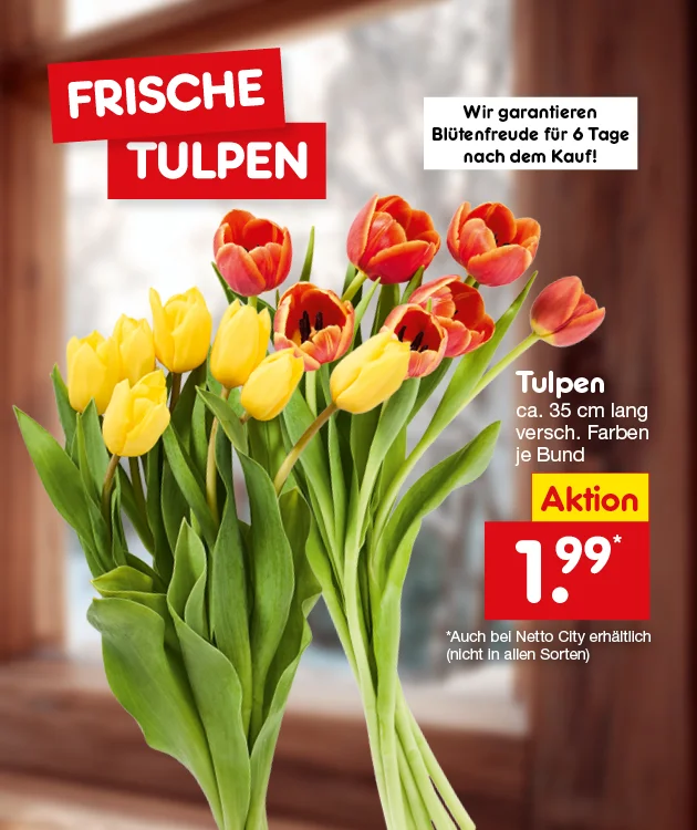 Ein Strau&szlig; frischer Tulpen in Gelb und Rot steht vor einem Fenster. Oben links steht in gro&szlig;en wei&szlig;en Buchstaben auf rotem Hintergrund: &bdquo;Frische Tulpen&ldquo;. Daneben der Hinweis: &bdquo;Wir garantieren Bl&uuml;tenfreude f&uuml;r sechs Tage nach dem Kauf!&ldquo; Rechts daneben steht: &bdquo;Tulpen, circa f&uuml;nfunddrei&szlig;ig Zentimeter lang, verschiedene Farben, je Bund&ldquo;. Ein gelbes Aktionsfeld zeigt den Preis: ein Euro neunundneunzig. Unten befindet sich ein roter Button mit der Aufschrift &bdquo;Weitere Angebote entdecken&ldquo;, der zum Klicken einl&auml;dt.