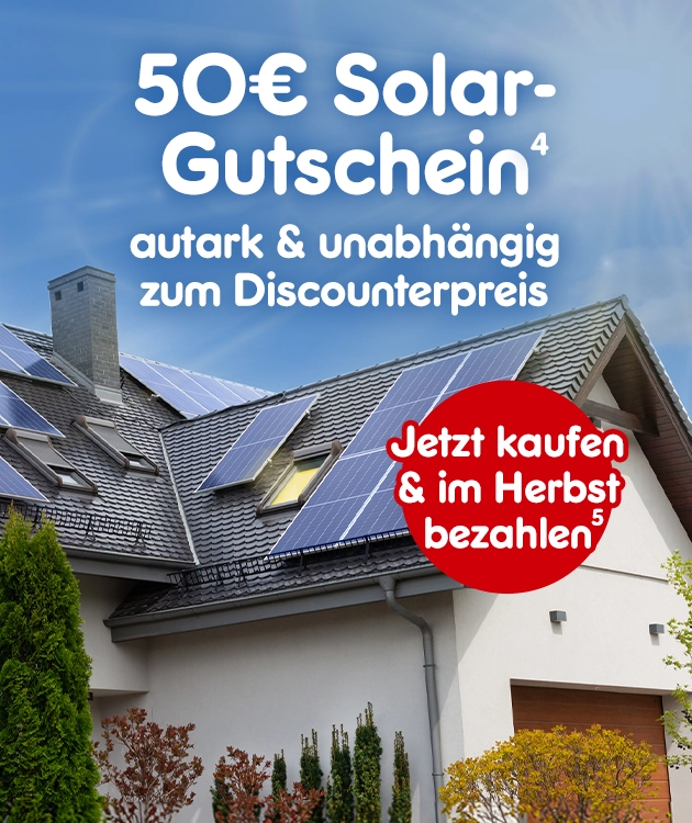 50&euro; Solargutschein: Jetzt kaufen und im Herbst bezahlen mit Hochzahlen 4 und 5 als Hinweis auf Rechtstext bei Netto Online