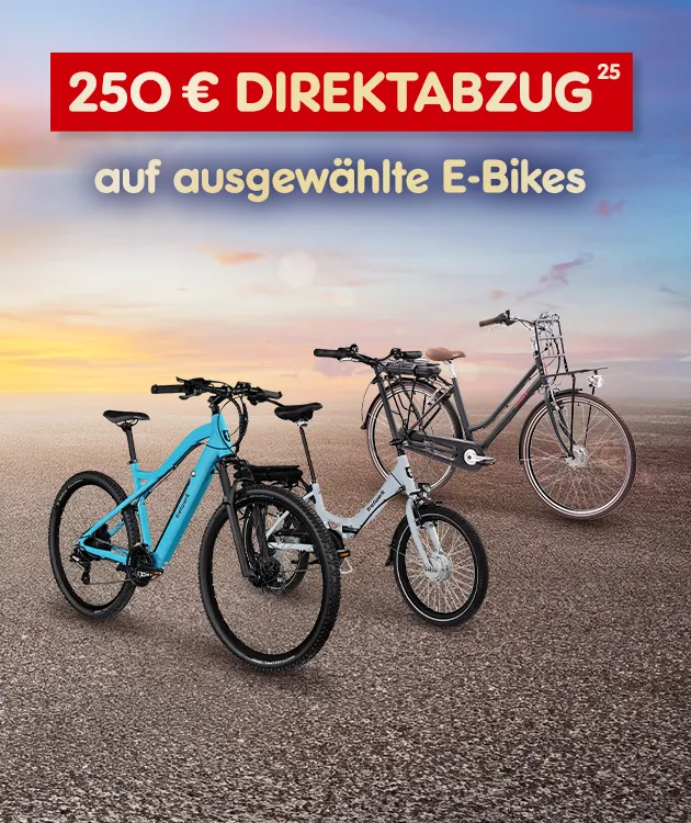 250 Euro Direktabzug auf ausgewählte E Bikes bei Netto Markendiscount mit Hochzahl 25 als Hinweis auf Rechtstext
