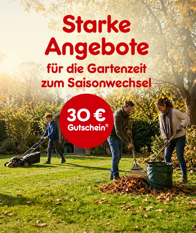 30&euro; Gutschein auf die Kategorie Garten bei Netto Online hoch 11, die auf den Rechtstext verweist.