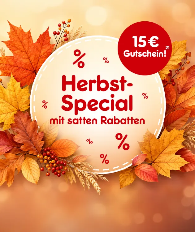 15&euro; Gutschein als Herbst Special Aktion mit satten Rabatten bei Netto Online hoch 21, die auf den Rechtstext verweist.